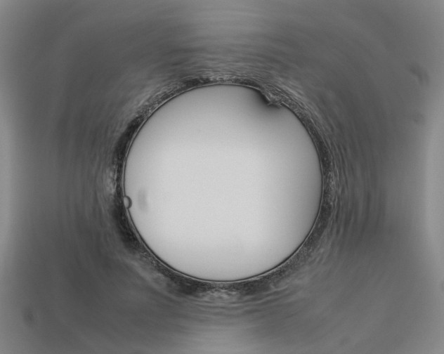 X0000114090691200910051210