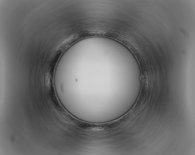 X0000114090692200910051210