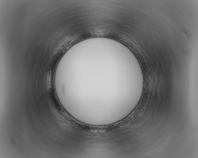 X0000114090694200910051210
