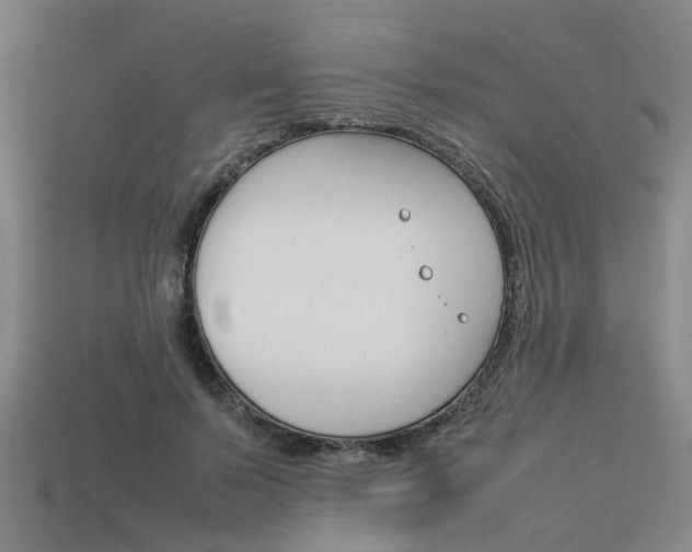 X0000114090695200910051210