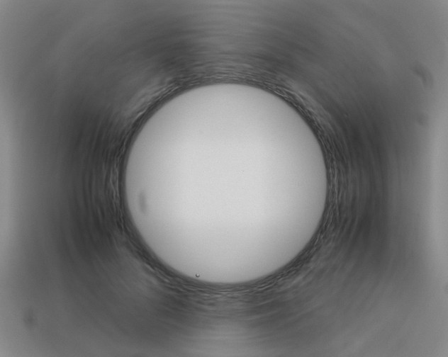 X0000114090696200910051210