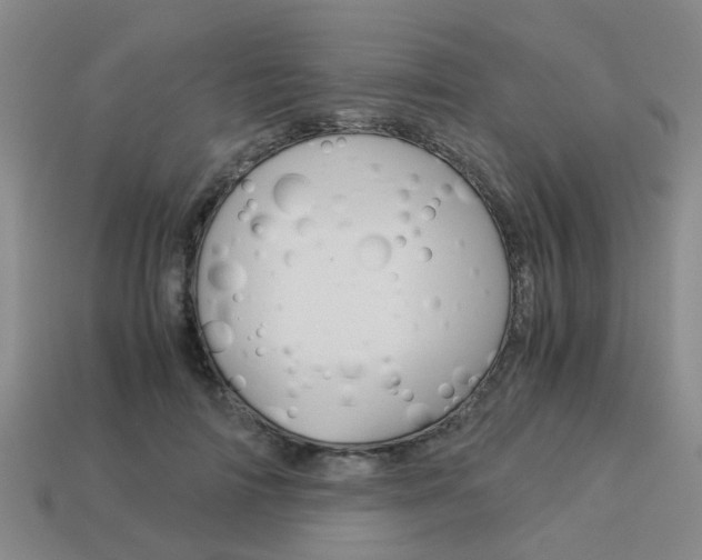 X0000114090698200910051210