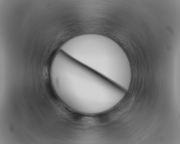 X0000114090699200910051210