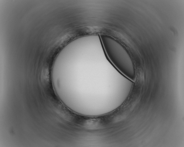 X0000114090700200910051210