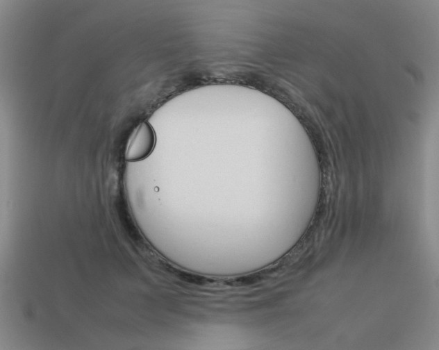 X0000114090703200910051210