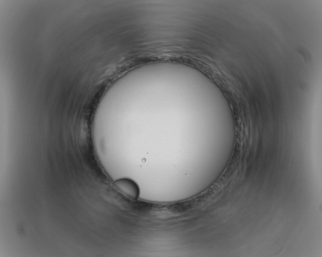 X0000114090704200910051210