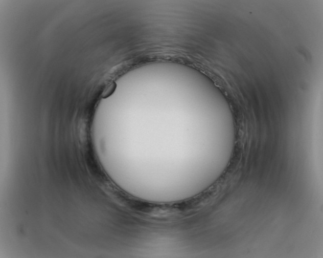 X0000114090708200910051210