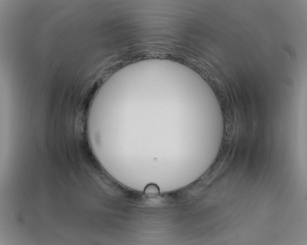 X0000114090710200910051210