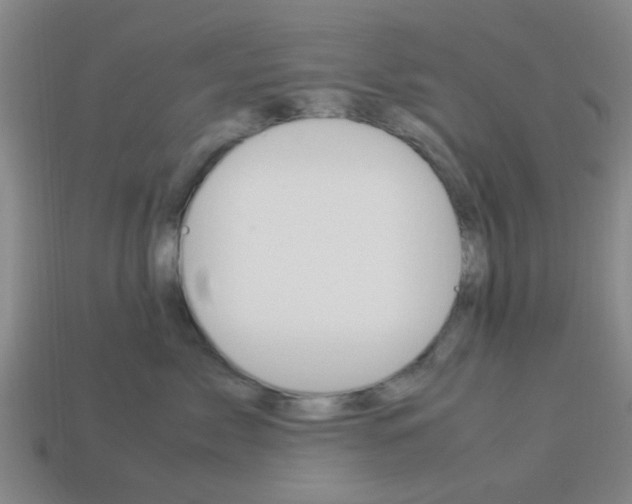 X0000114090717200910051210