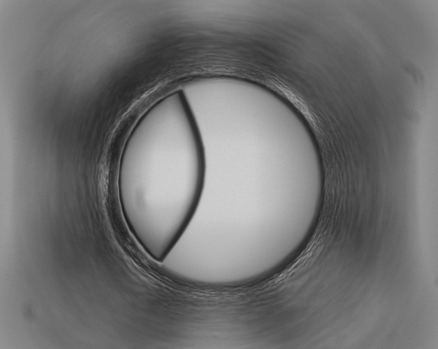 X0000114090722200910051209