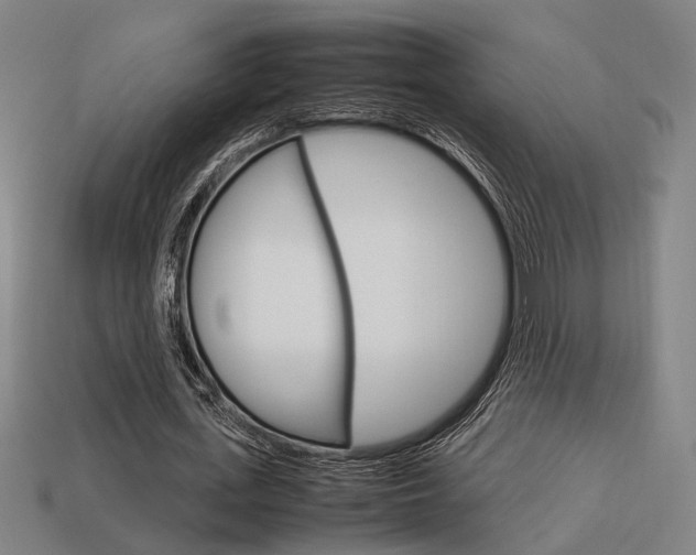 X0000114090723200910051209