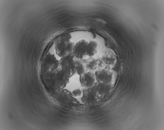 X0000114090725200910051209