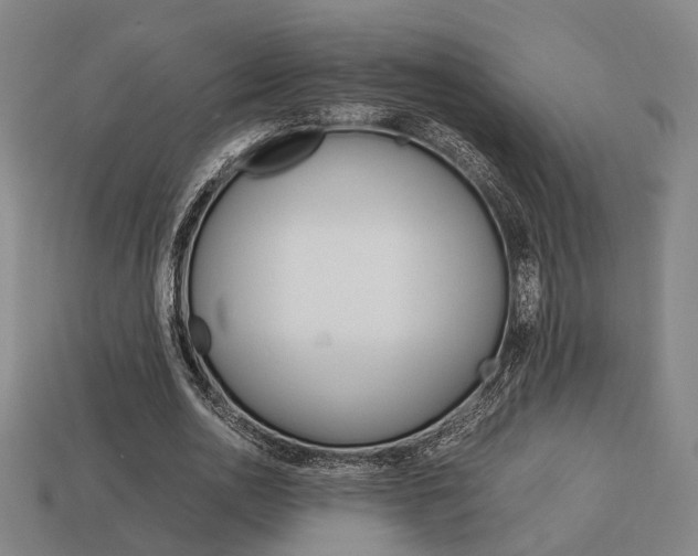 X0000114090726200910051209