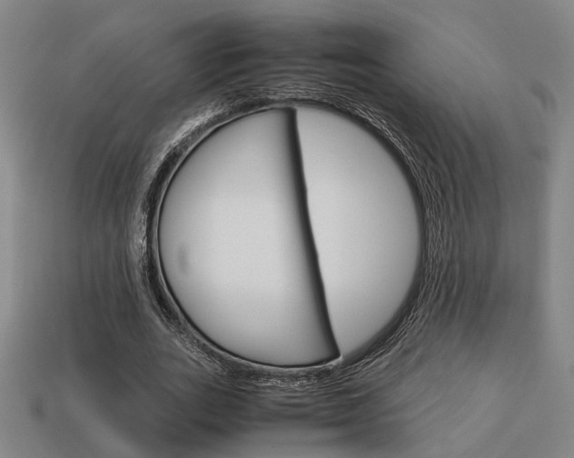 X0000114090727200910051209