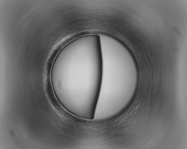 X0000114090728200910051209