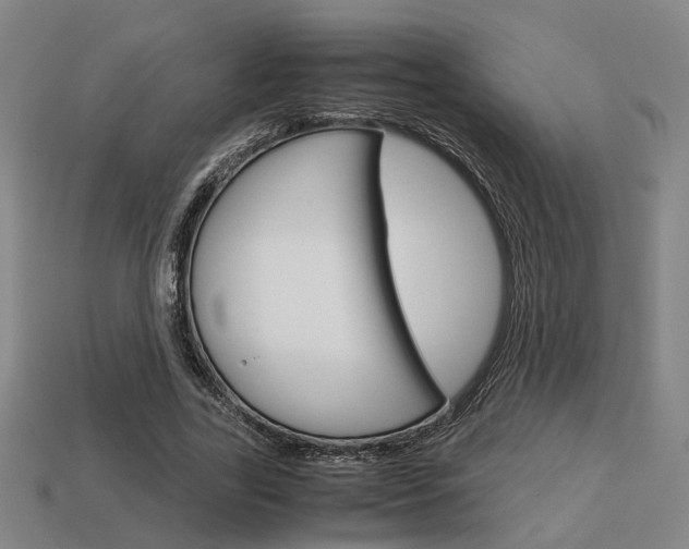 X0000114090731200910051209