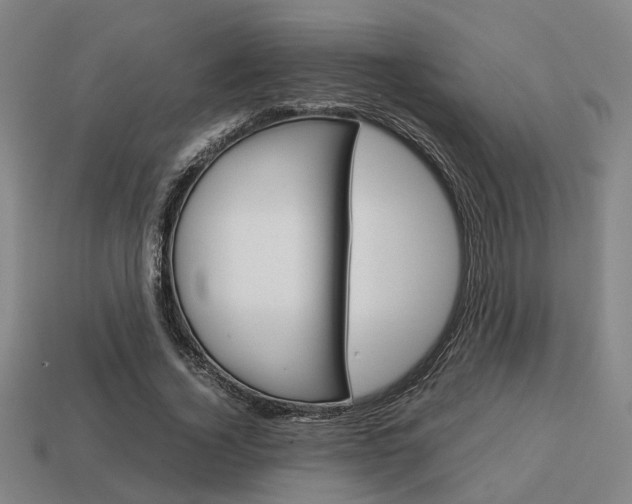 X0000114090732200910051209