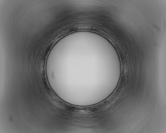 X0000114090737200910051209