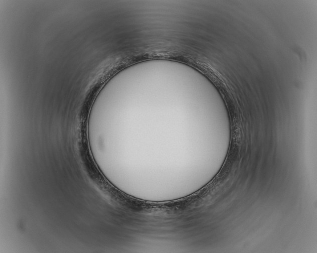 X0000114090738200910051209