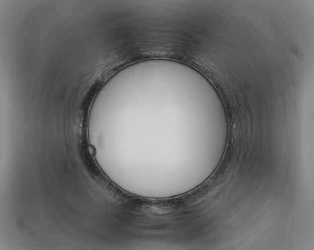 X0000114090739200910051209