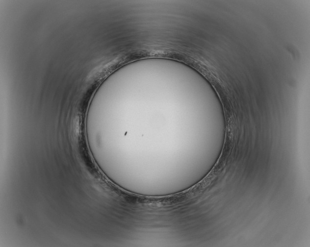 X0000114090740200910051209