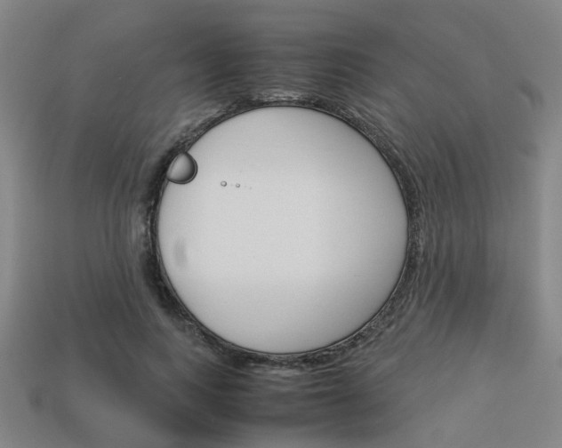 X0000114090743200910051209