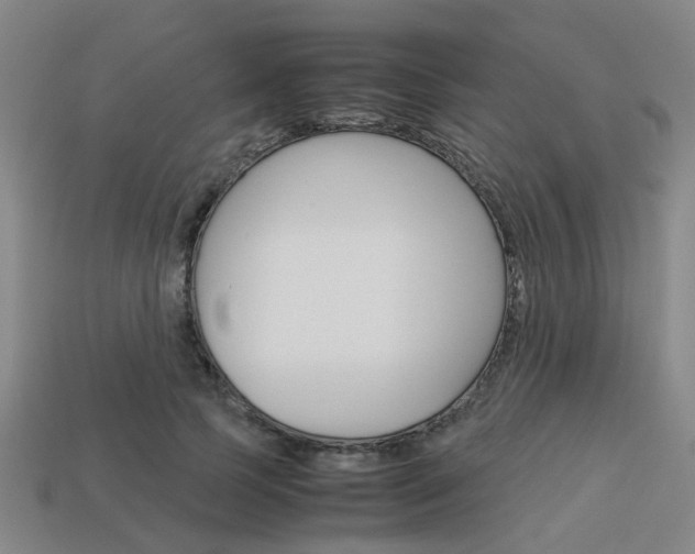 X0000114090745200910051209