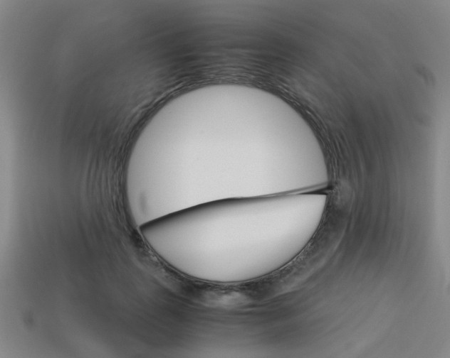 X0000114090747200910051209