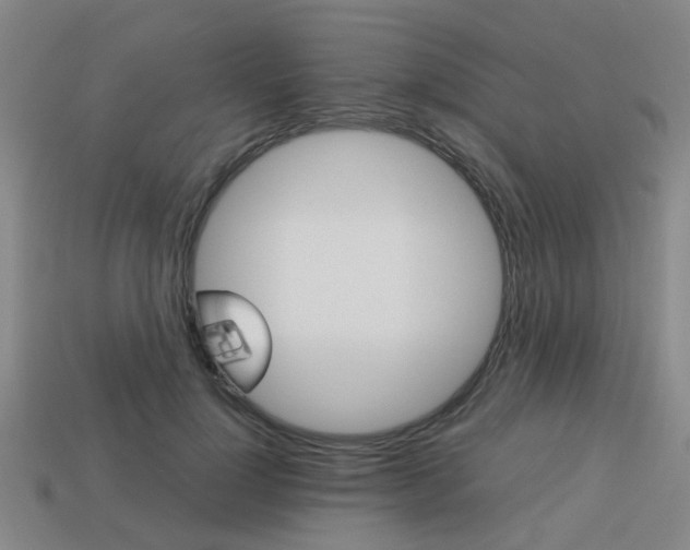 X0000114090748200910051209
