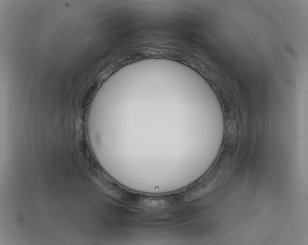 X0000114090749200910051209