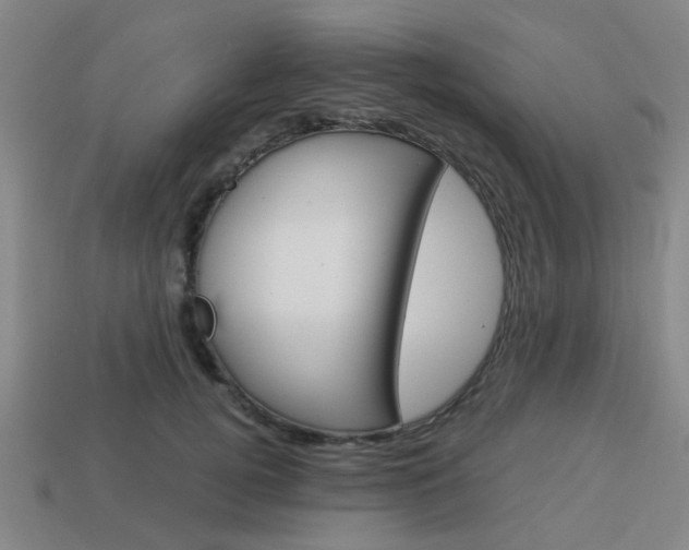 X0000114090752200910051209