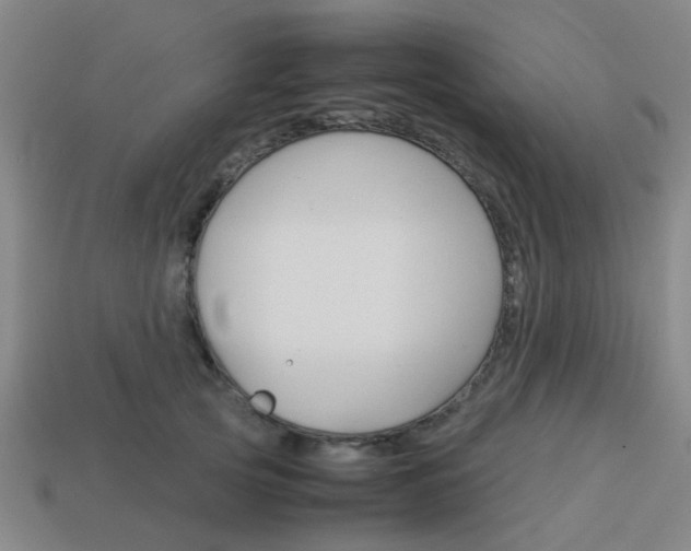 X0000114090753200910051209
