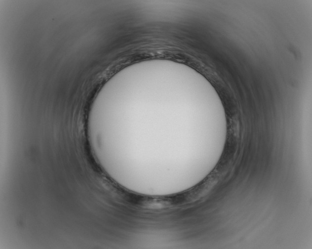 X0000114090754200910051209