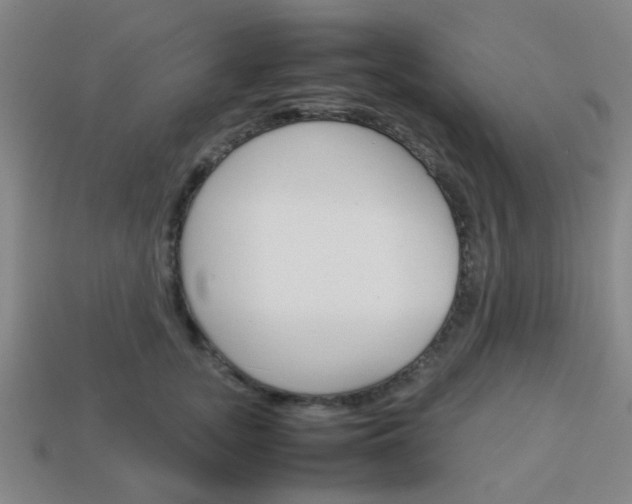 X0000114090755200910051209