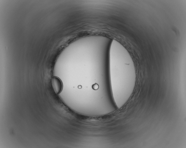 X0000114090756200910051209