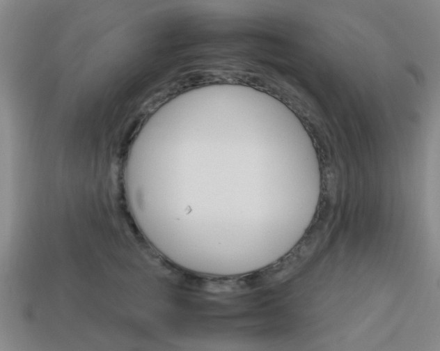 X0000114090757200910051210
