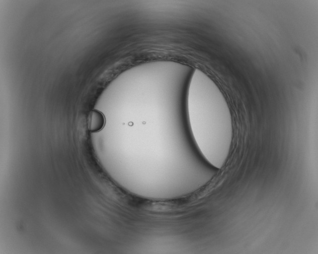 X0000114090758200910051210