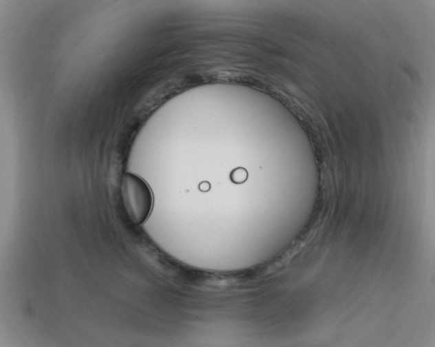 X0000114090760200910051210