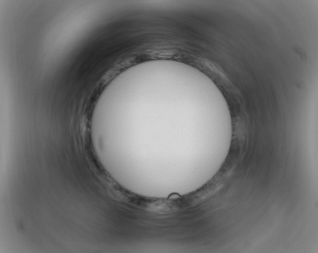 X0000114090761200910051210