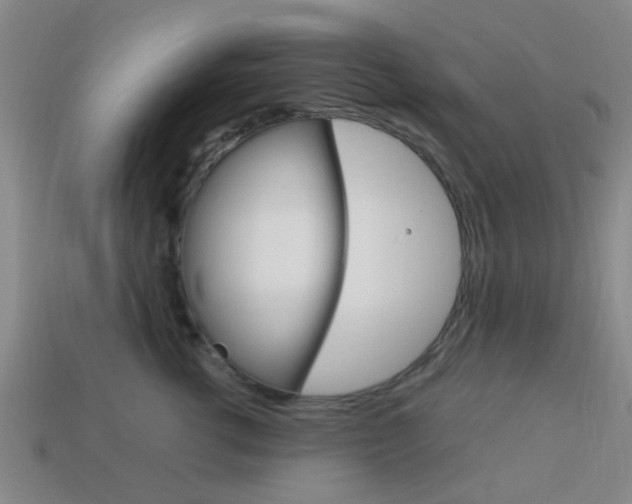 X0000114090762200910051210