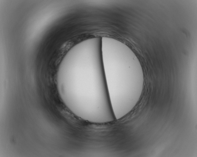 X0000114090763200910051210