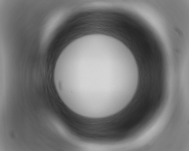 X0000114090766200910051210