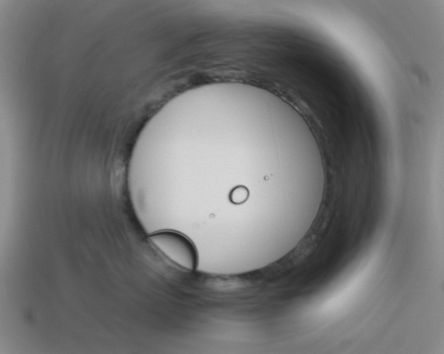 X0000114090767200910051210