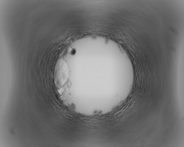X0000114090769200910051209