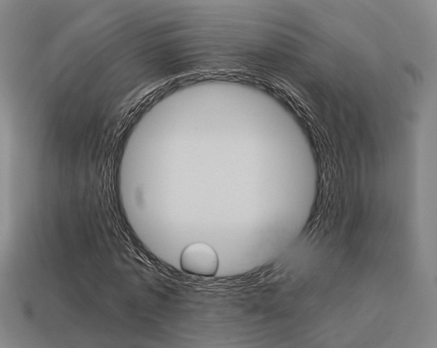 X0000114090773200910051209