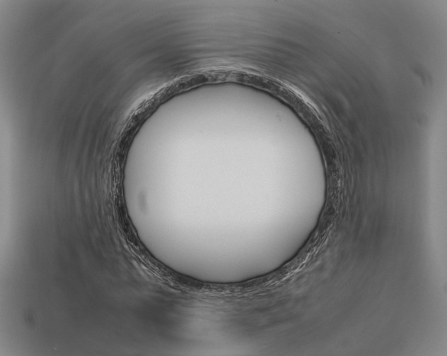 X0000114090775200910051209