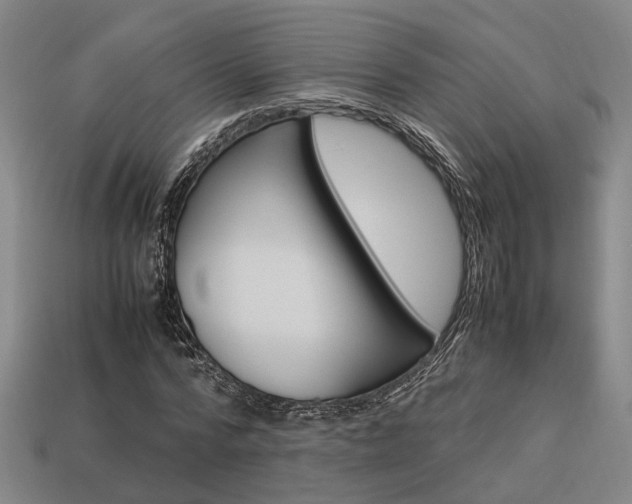 X0000114090776200910051209