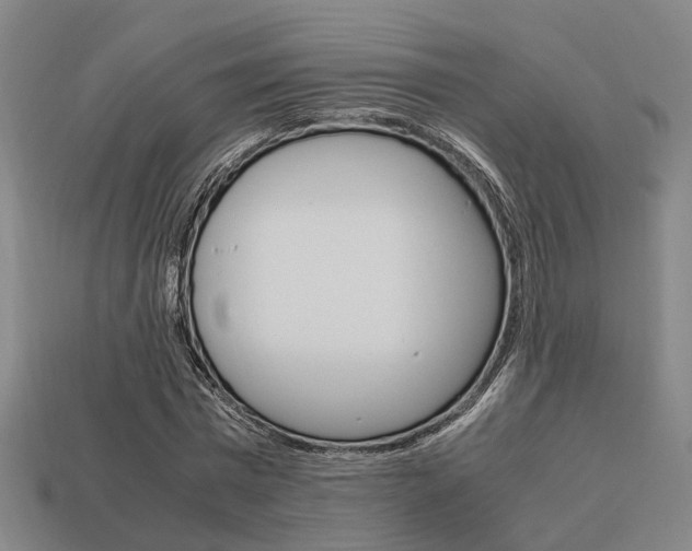 X0000114090777200910051209