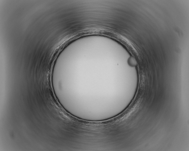 X0000114090778200910051209