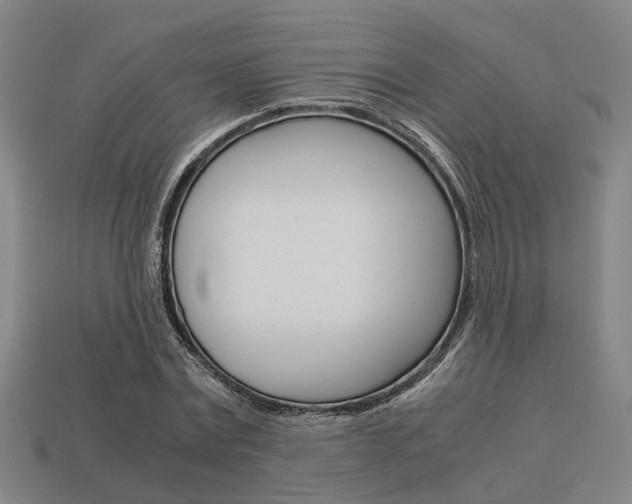 X0000114090779200910051209